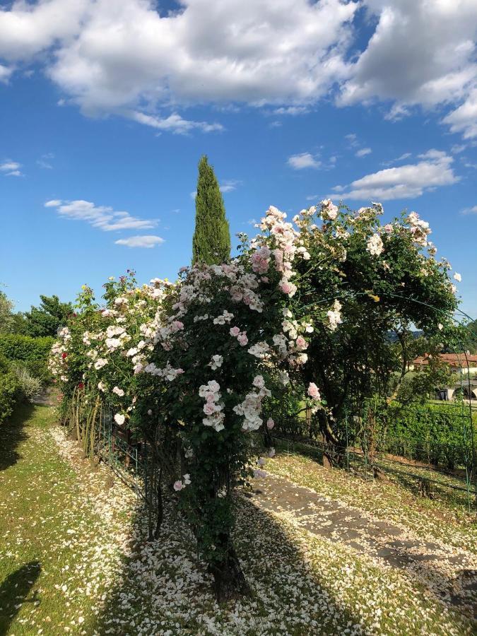Il Giardino Di Flora Hotel Buti Exterior foto